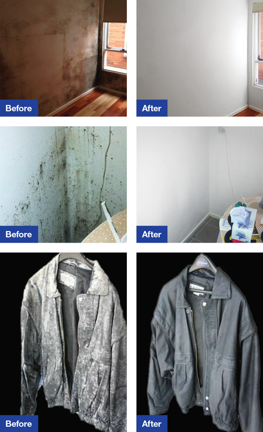 Mould Removal Before And After