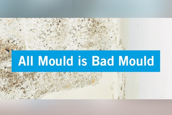 Mould Remediation Services