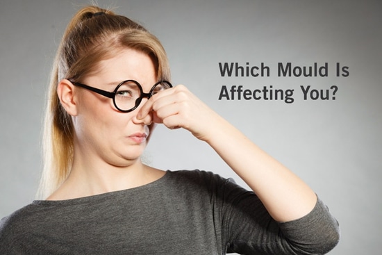 Which mould is affecting you
