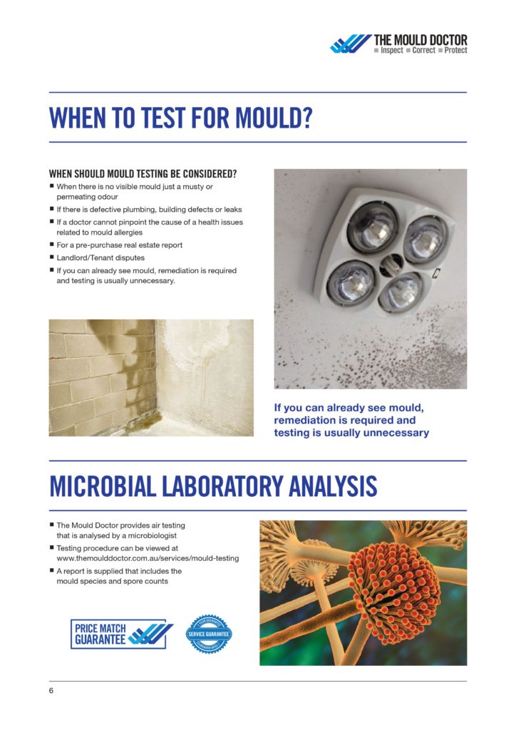When to Test for Mould Infographics