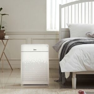 Air Purifier for home