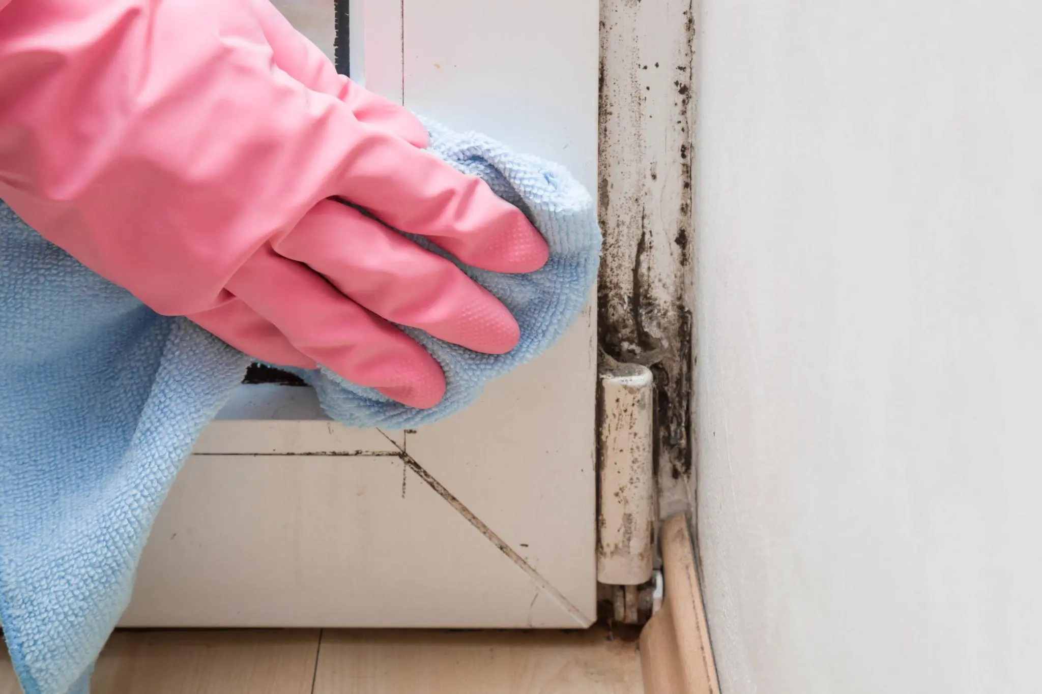 6 Signs It’s Time for Home Mould Removal