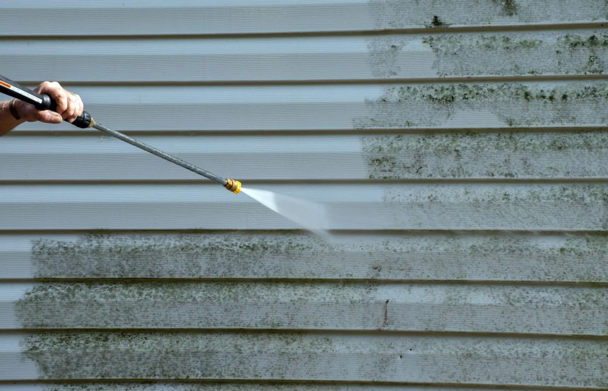 6 Practical Tips for Outdoor Mould Removal and Prevention