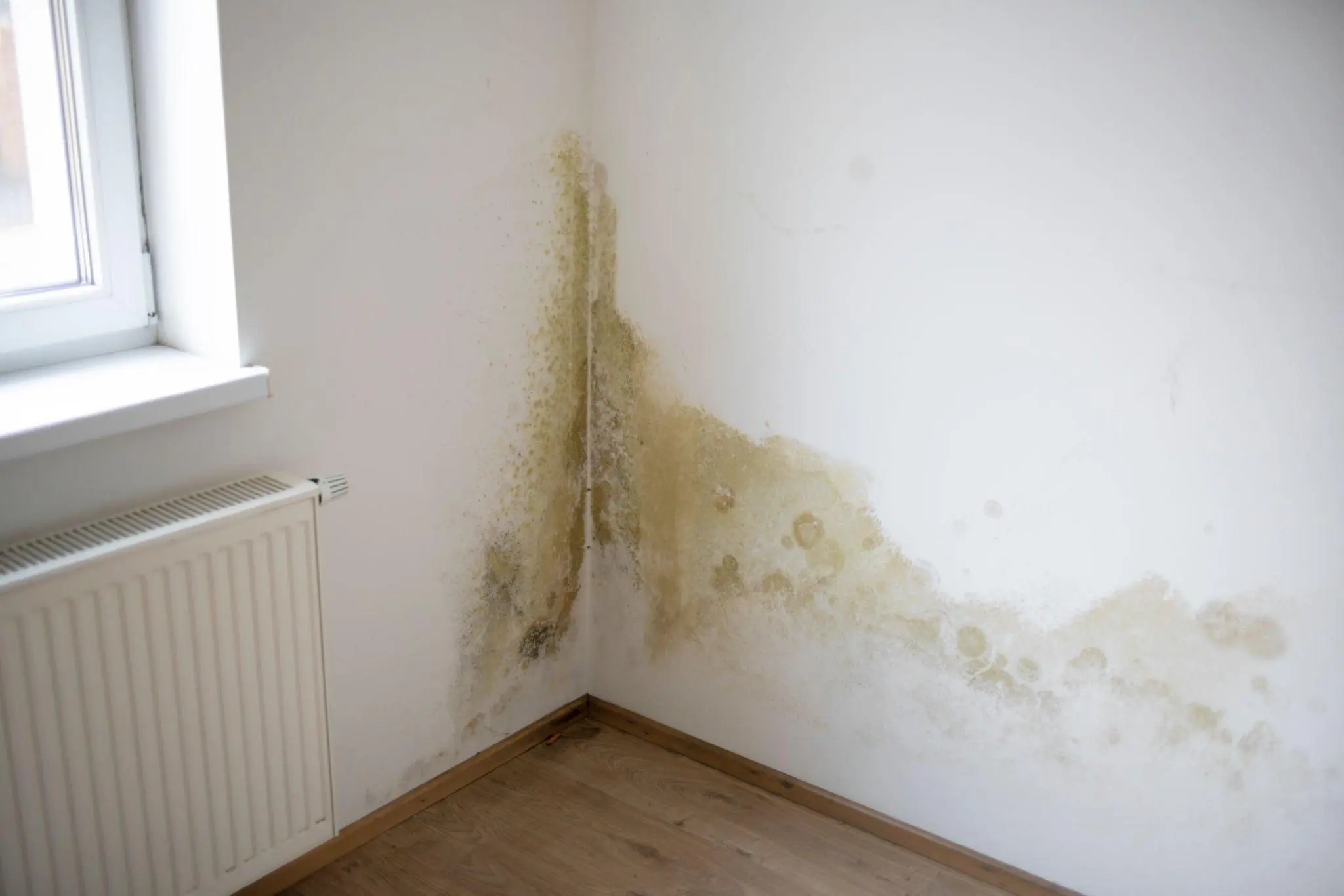 Can You Sleep in a Room With Mould?