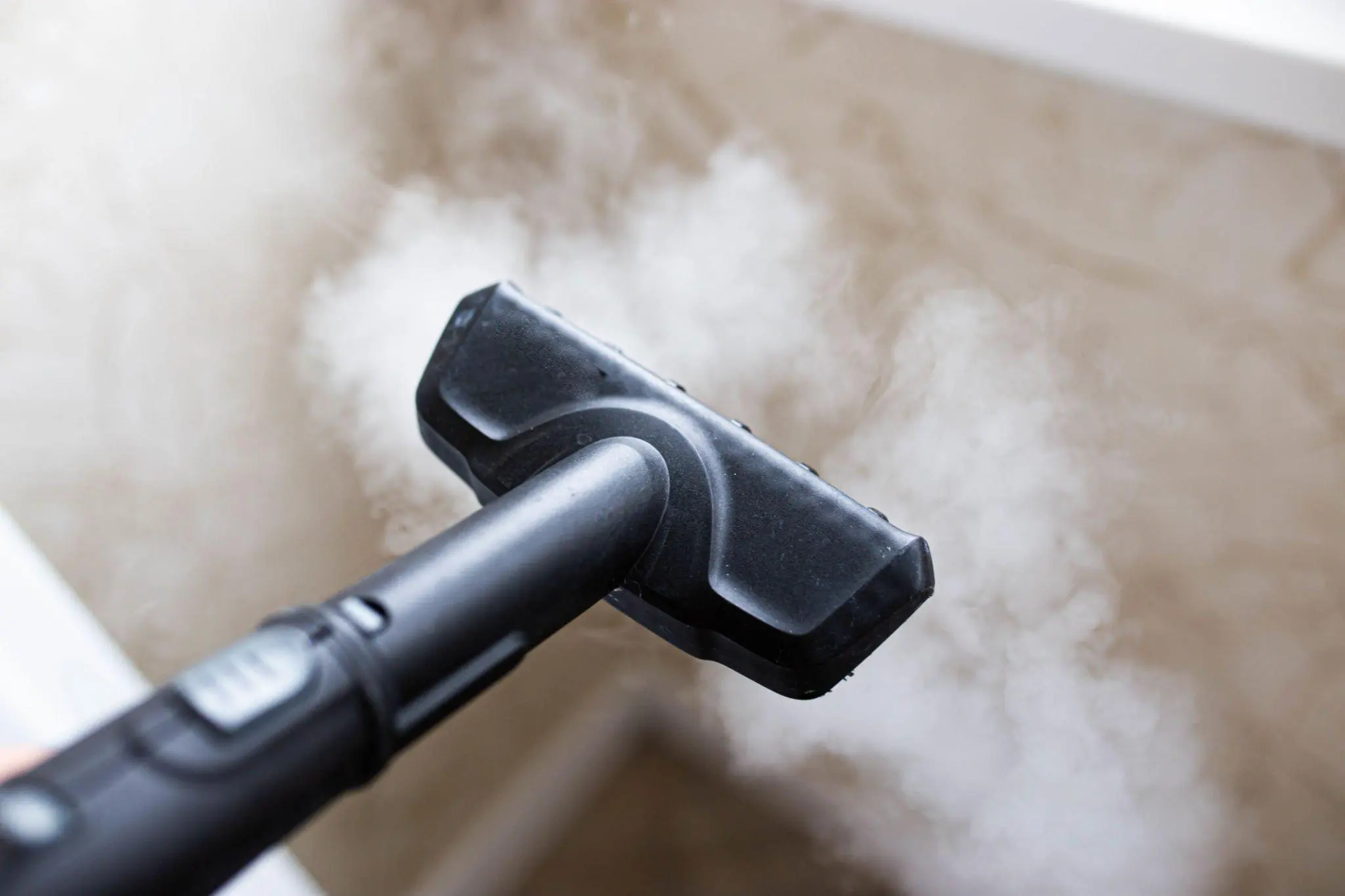 Do Steam Cleaners Remove Mould?