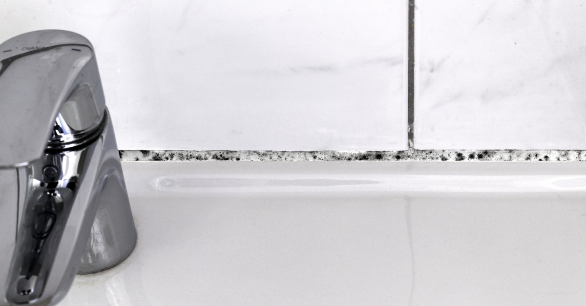 Can Bathroom Mould Make You Sick?