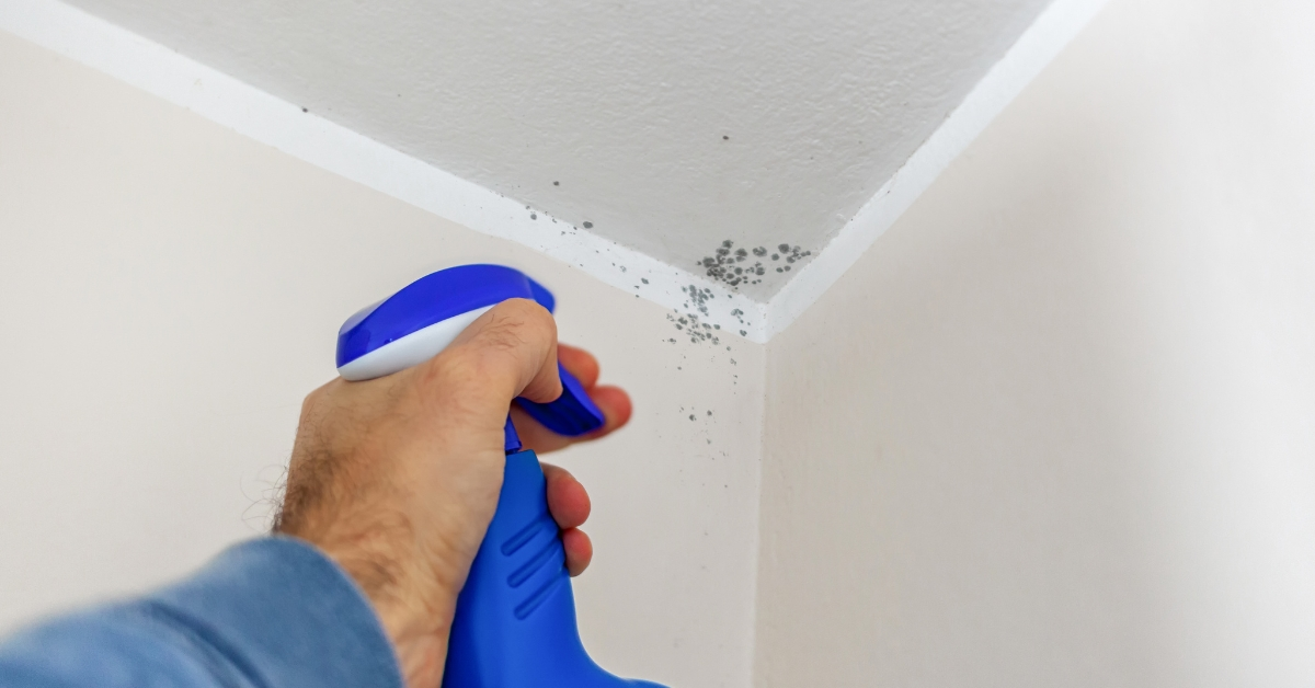 9 Common Misconceptions About Mould Care