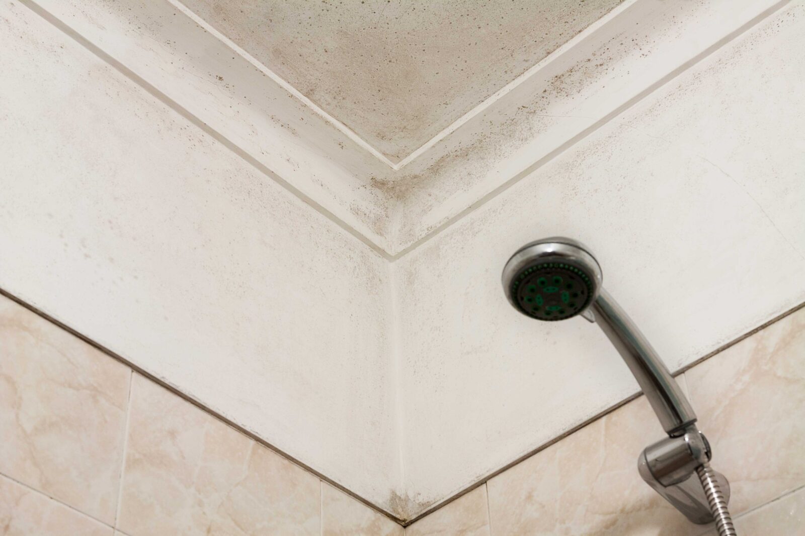 Can Bathroom Mould Make You Sick?