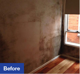 mould-removal-before-and-before-1